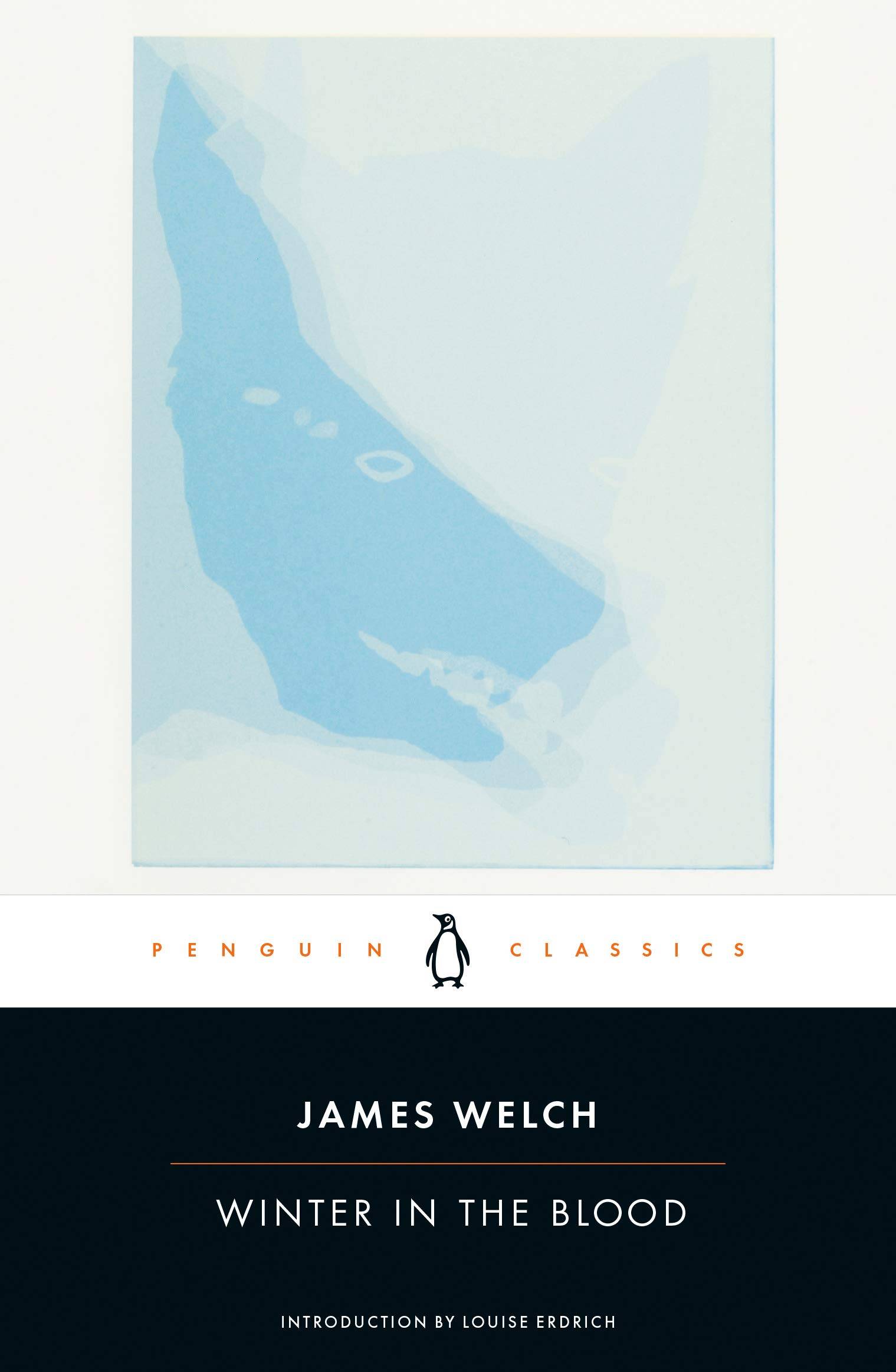 Book cover with abstract snowy shapes